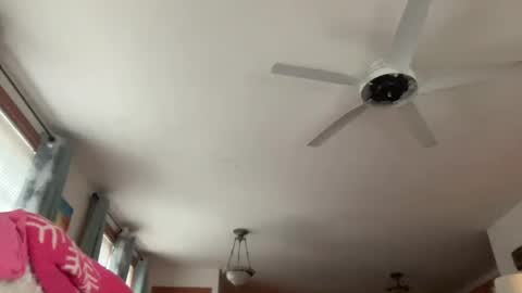 paisleysnowxo online show from 10-29-25, 05:36