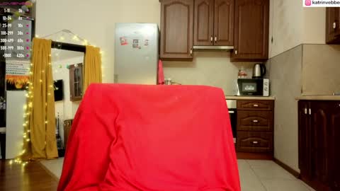 Katrin Vebber online show from 01-29-25, 01:48