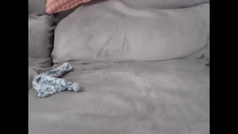 pal online show from 02-27-26, 08:25