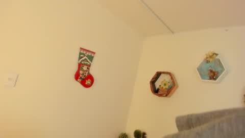 Paloma  online show from 12-19-25, 08:27