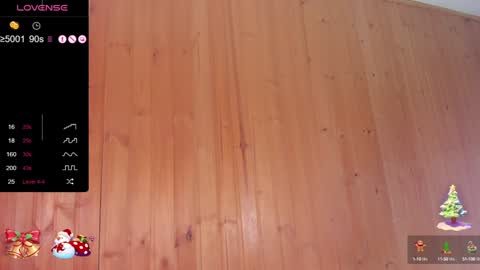 Pamela online show from 12-28-24, 06:49