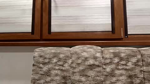 angel hris online show from 01-14-25, 08:15