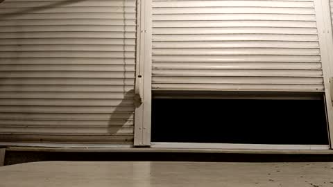 angel hris online show from 11-24-25, 06:18