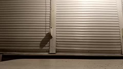 angel hris online show from 02-04-26, 05:08