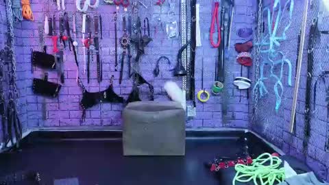 PandoraNez online show from 02-14-25, 11:10