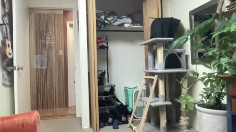 Pantiesofthefae online show from 10-13-25, 09:53