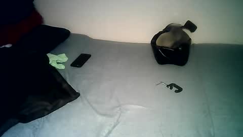 PantsLessTraveler online show from 12-14-24, 07:46