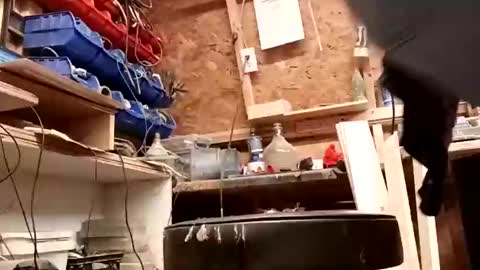 papajb70 online show from 01-27-25, 01:05