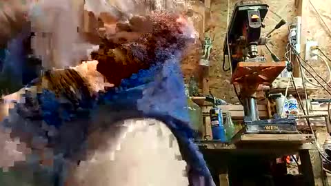 papajb70 online show from 09-10-25, 02:22