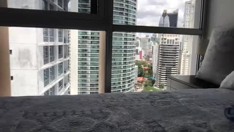 Paradise Bird01 online show from 03-15-26, 05:30