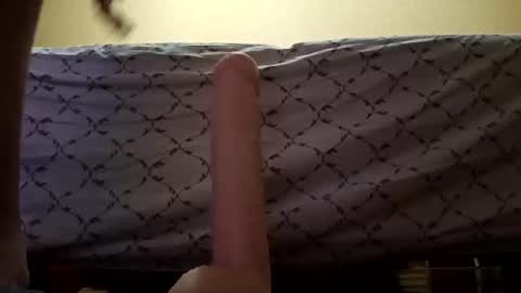 paradoxxxxl online show from 12-29-24, 09:52