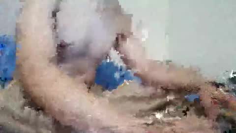 parejitafiel2309 online show from 11-09-25, 08:18