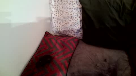 Parlay tellio online show from 01-29-25, 02:30