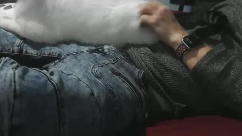 pasexhibe online show from 02-01-26, 03:38