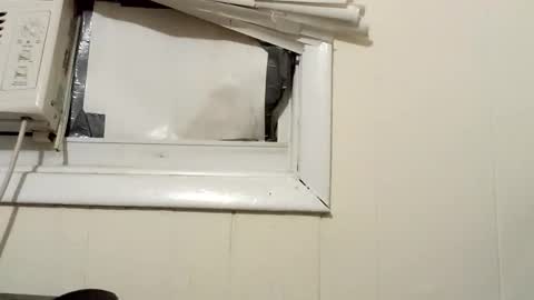 JD online show from 12-18-24, 02:32