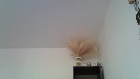 patrick5275 online show from 12-16-24, 11:44