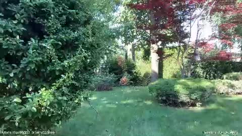 Snapshot of patry333 chatting on 06-20-26, 05:32 Andreea online show from 06-20-26, 05:32