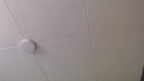 Paul online show from 10-20-25, 01:00