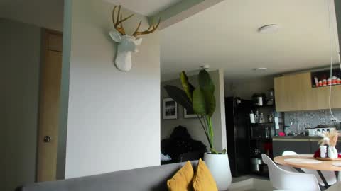 Paul online show from 04-10-26, 04:55