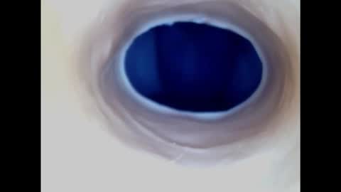 Paula 18 Aninhos online show from 11-17-25, 05:24