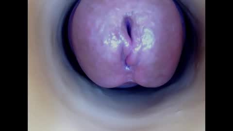 Paula 18 Aninhos online show from 03-01-26, 06:43