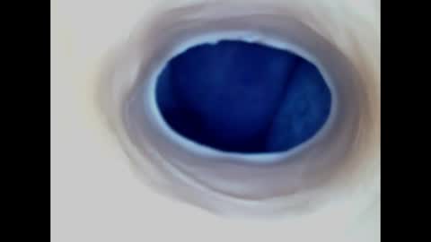 Paula 18 Aninhos online show from 06-14-26, 02:24