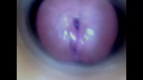 Snapshot of paulainoscente chatting on 07-09-26, 02:15 Paula 18 Aninhos online show from 07-09-26, 02:15