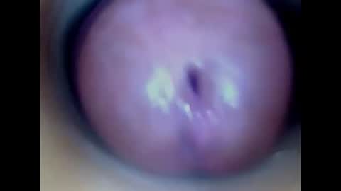 Snapshot of paulainoscente chatting on 07-13-26, 02:09 Paula 18 Aninhos online show from 07-13-26, 02:09