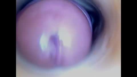 Snapshot of paulainoscente chatting on 07-20-26, 02:48 Paula 18 Aninhos online show from 07-20-26, 02:48