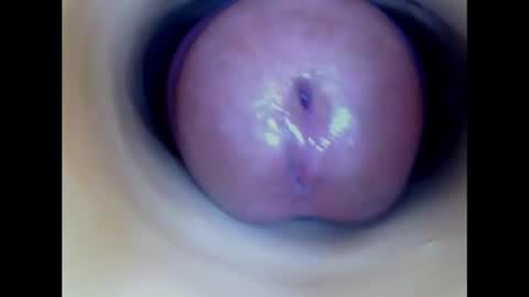 Snapshot of paulainoscente chatting on 07-23-26, 01:58 Paula 18 Aninhos online show from 07-23-26, 01:58