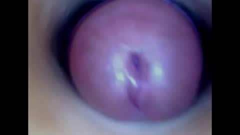 Snapshot of paulainoscente chatting on 08-08-26, 02:36 Paula 18 Aninhos online show from 08-08-26, 02:36