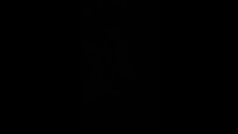 paulobascet online show from 12-02-24, 01:36