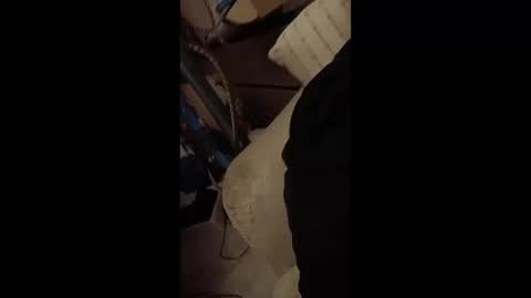 paulobascet online show from 01-12-25, 03:28