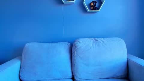 Paul Phoenix online show from 10-05-25, 08:07