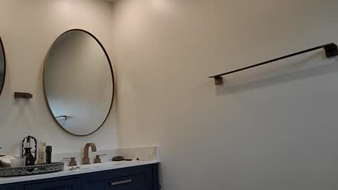 Pavone splash online show from 12-01-25, 05:40