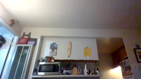 pawgkiller online show from 10-11-25, 02:33