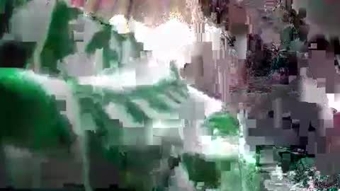 Coco channel  online show from 12-24-24, 06:22