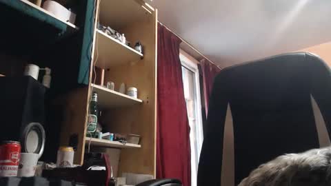 pc8474408 online show from 05-07-26, 06:35