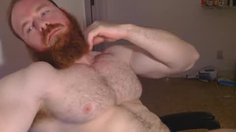 Snapshot of pec_inspector chatting on 01-30-25, 03:55 Pec inspector online show from 01-30-25, 03:55