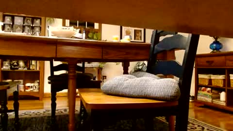 peecocktail online show from 10-13-25, 05:07