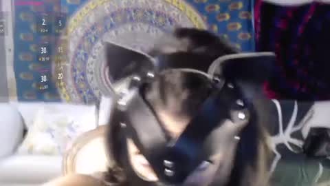 Snapshot of peekclimaxxx chatting on 12-02-24, 02:41 NEXT CHILL SESH 1130 930pm -ish PEEK online show from 12-02-24, 02:41