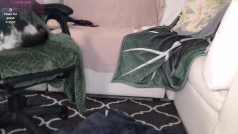 Snapshot of peekclimaxxx chatting on 03-06-25, 02:19 NEXT CHILL SESH 1130 930pm -ish PEEK online show from 03-06-25, 02:19