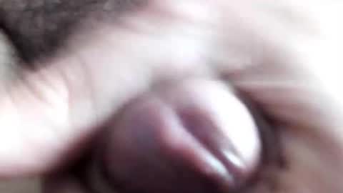 peiboluna online show from 02-11-25, 10:59