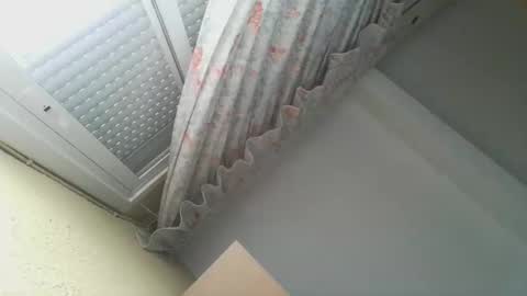 Snapshot of perales_12345 chatting on 12-20-25, 11:17 perales_12345 online show from 12-20-25, 11:17