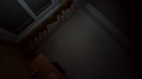 Snapshot of perales_12345 chatting on 03-28-26, 05:29 perales_12345 online show from 03-28-26, 05:29