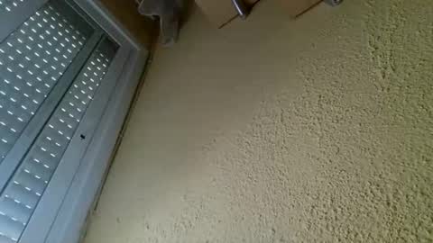 perales_12345 online show from 04-19-26, 10:25