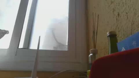 perales_12345 online show from 06-14-26, 03:25