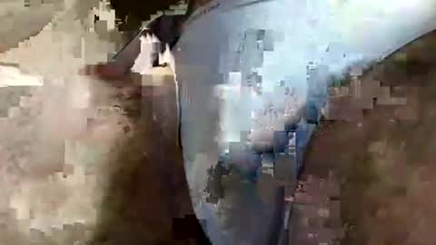 Snapshot of perfect_ftm chatting on 04-03-26, 06:33 perfectFTM online show from 04-03-26, 06:33