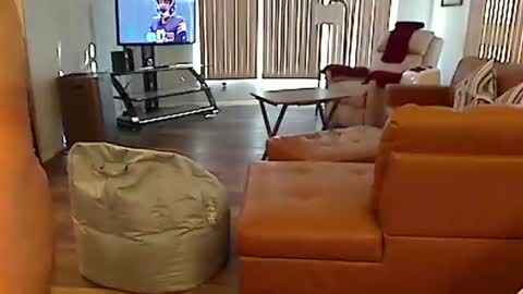 perfecto1957 online show from 12-22-24, 08:03