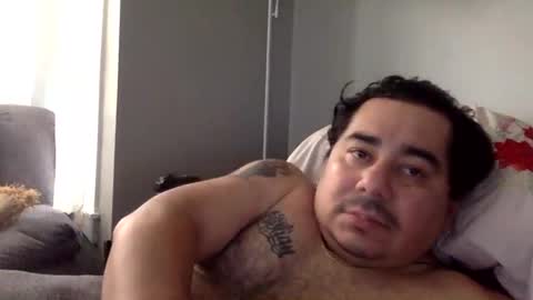 perro2010joshua online show from 01-11-25, 03:52